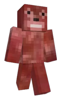 Front of skerna's skin