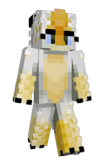 Front of xMisst's skin