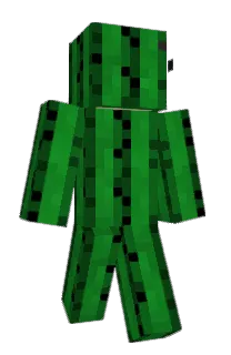 Front of nabo18's skin