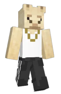 Front of baconcheesellama's skin