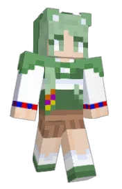 Skin preview