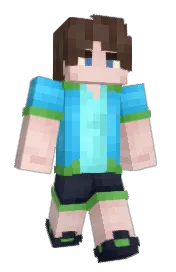 Skin preview