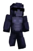 Sekkter