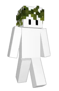 Front of Ziemniorr's skin