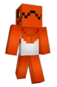 Acornflash