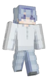 Minecraft skin — Classic model