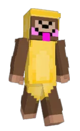 fr32's Minecraft skin wearing the Migrator cape
