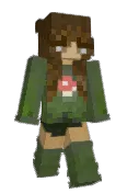 MiniSaam