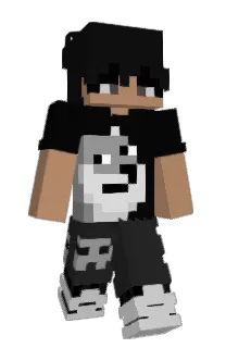 Front of Idealista's skin