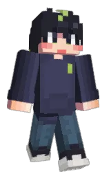Minecraft skin — Classic model