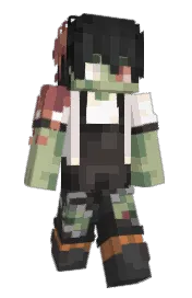 Skin preview