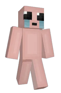 Front of b0bir's skin