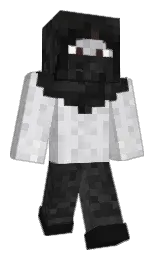 mischka and cod gray Minecraft skin — Classic model — first worn by drvkos