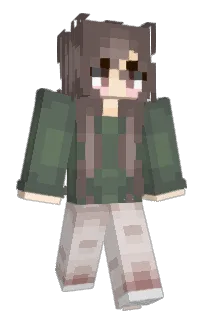 Fox4life2597's Minecraft skin