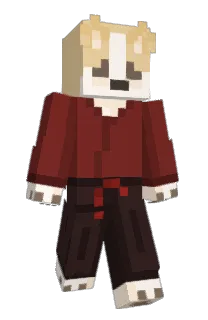 Front of DonkaraSt's skin