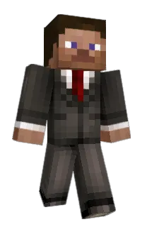 mecn's Minecraft skin