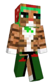 Skin preview