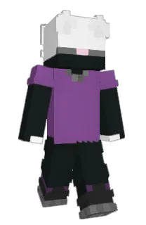 Front of kamil445's skin
