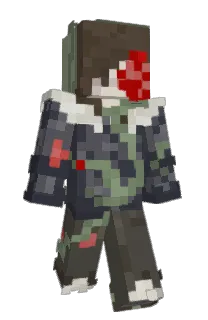 Front of 1424274's skin