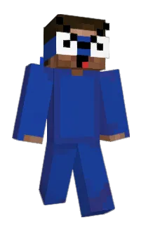 Front of poniks's skin