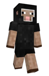 Front of Roissy's skin