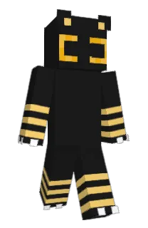Front of box1397's skin