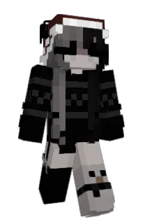 Front of saretes's skin