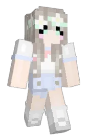 Skin preview