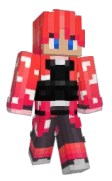 Jankil's Minecraft skin wearing the Migrator cape