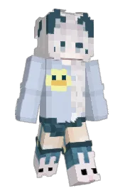Skin preview