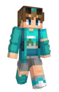 Front of N1Dini's skin