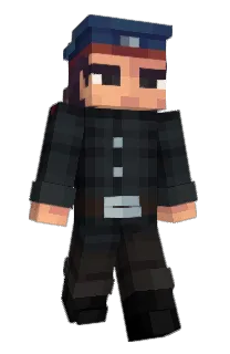 Front of Max34117's skin