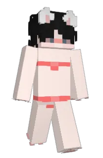 Front of Minecraft skin