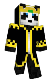 Front of Xtorbit's skin