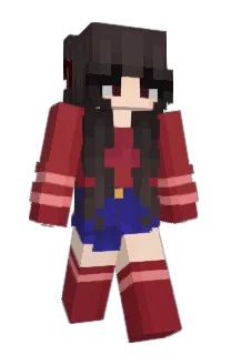 Front of 2024G4's skin