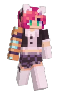 Front of AriSock's skin