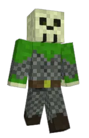 Skin preview