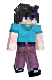 Front of DESTIMONT's skin