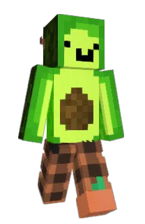 Front of Guacamidi's skin
