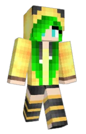 Skin preview