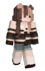 Skin preview
