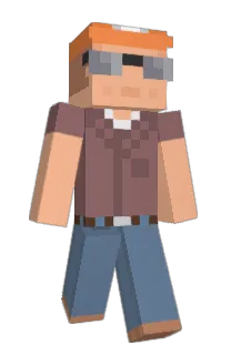 metr0bugz's Minecraft skin