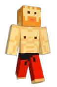 Pockettminer