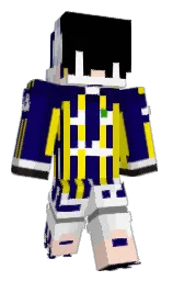 evolays's Minecraft skin wearing the 15th Anniversary cape