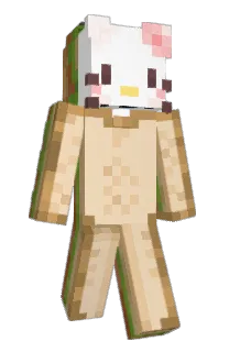 Front of ketoi's skin
