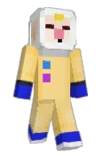 NinYork13