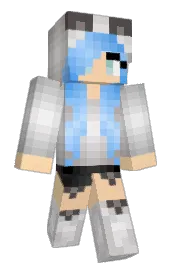Skin preview