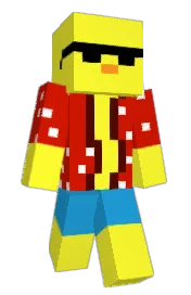 Skin preview