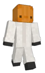 Minecraft skin — Classic model