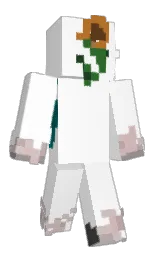 Minecraft skin — Classic model